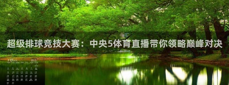 球神直播足球直播在线观看：超级排球竞技大赛：中央5体育直播带你领略巅峰对决