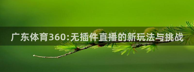 qszb球神直播：广东体育360:无插件直播的新玩法与挑战